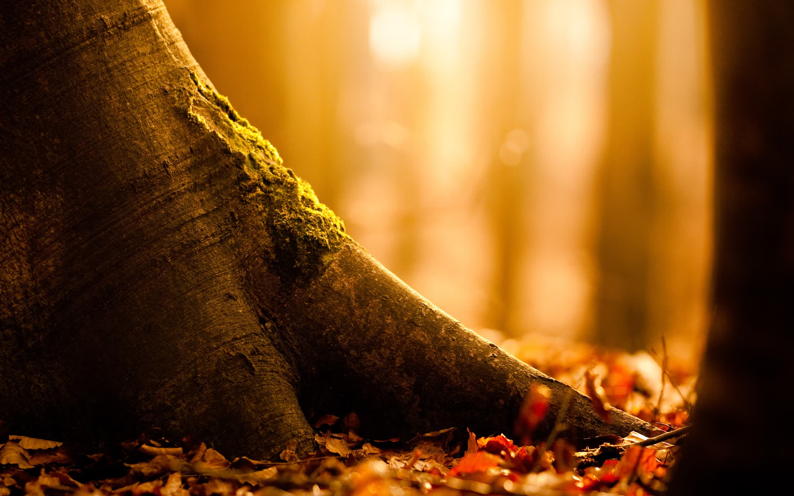 世界游艇青年赛赛事志愿者国际交流营成果论文发表,游艇协会